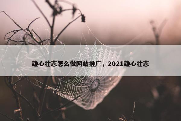 雄心壮志怎么做网站推广，2021雄心壮志