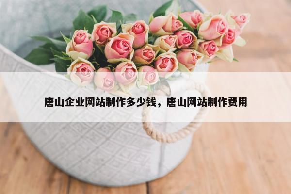 唐山企业网站制作多少钱，唐山网站制作费用