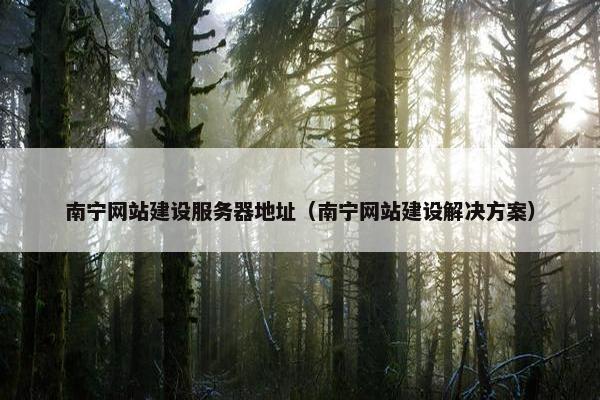 南宁网站建设服务器地址（南宁网站建设解决方案）