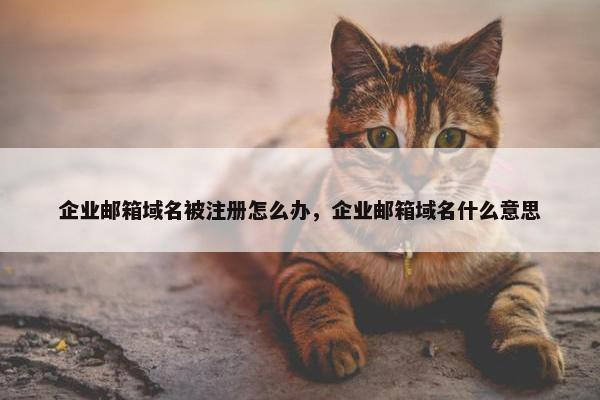 企业邮箱域名被注册怎么办，企业邮箱域名什么意思