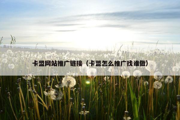 卡盟网站推广链接（卡盟怎么推广找谁做）