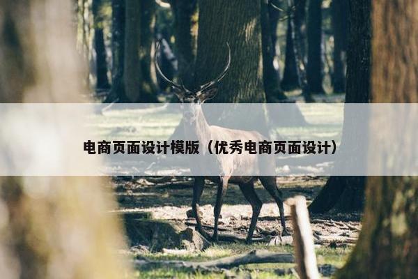 电商页面设计模版（优秀电商页面设计）