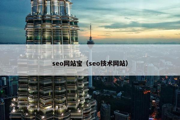 seo网站宝（seo技术网站）