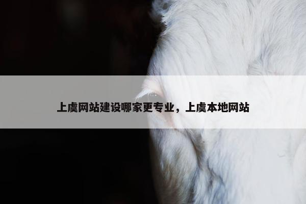 上虞网站建设哪家更专业，上虞本地网站