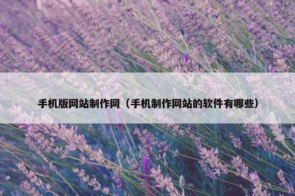 手机版网站制作网（手机制作网站的软件有哪些）