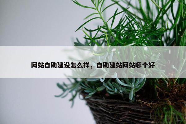 网站自助建设怎么样，自助建站网站哪个好