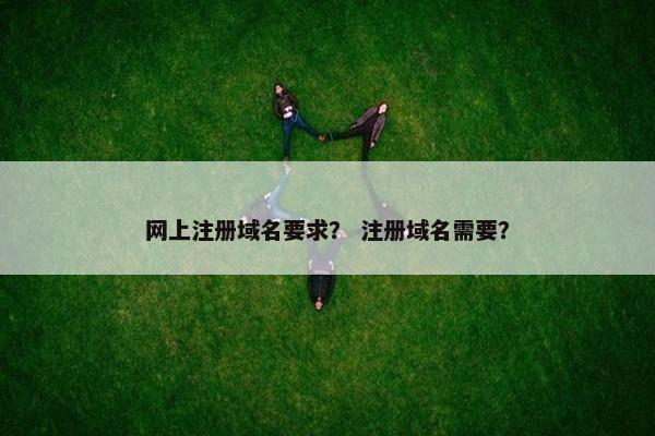 网上注册域名要求？ 注册域名需要？