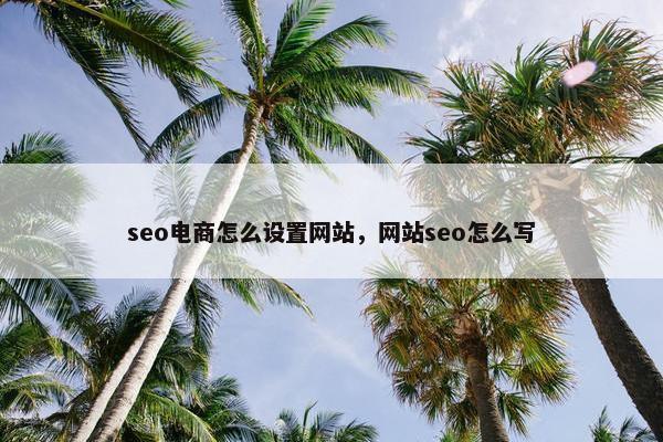 seo电商怎么设置网站，网站seo怎么写
