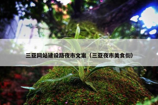 三亚网站建设路夜市文案（三亚夜市美食街）