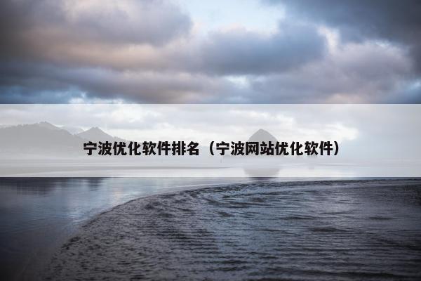 宁波优化软件排名（宁波网站优化软件）