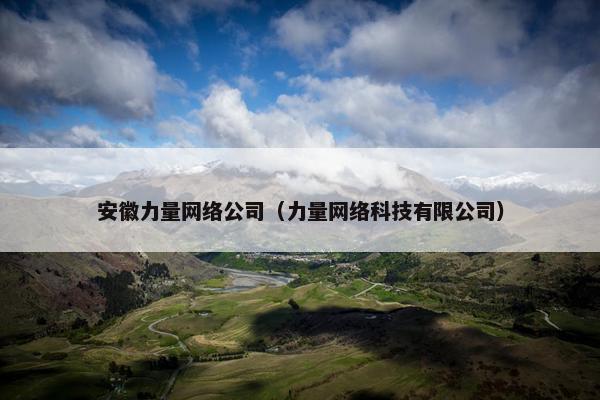 安徽力量网络公司（力量网络科技有限公司）