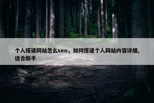 个人搭建网站怎么seo，如何搭建个人网站内容详细,适合新手