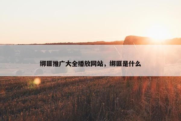 绑匪推广大全播放网站，绑匪是什么