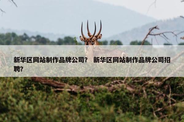 新华区网站制作品牌公司？ 新华区网站制作品牌公司招聘？