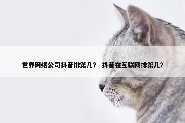 世界网络公司抖音排第几？ 抖音在互联网排第几？