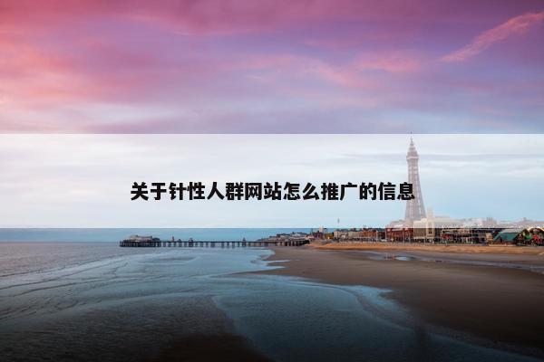 关于针性人群网站怎么推广的信息