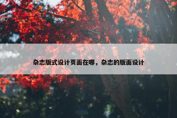 杂志版式设计页面在哪，杂志的版面设计