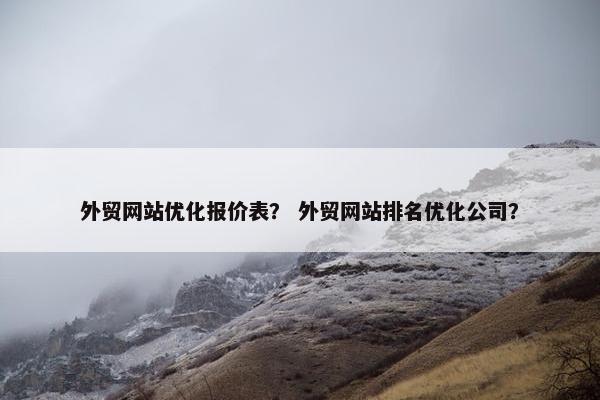 外贸网站优化报价表？ 外贸网站排名优化公司？