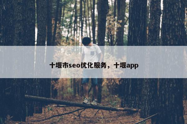 十堰市seo优化服务，十堰app