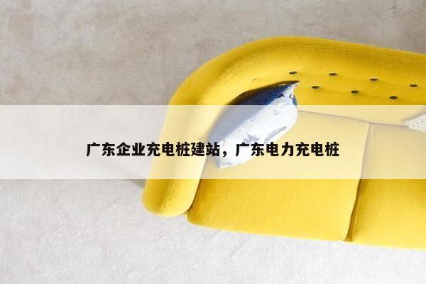 广东企业充电桩建站，广东电力充电桩