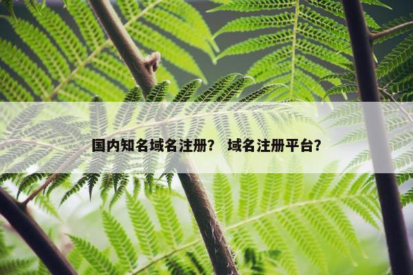 国内知名域名注册？ 域名注册平台？