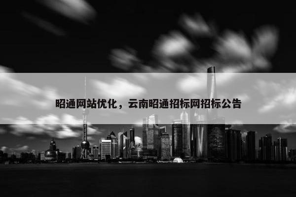 昭通网站优化，云南昭通招标网招标公告
