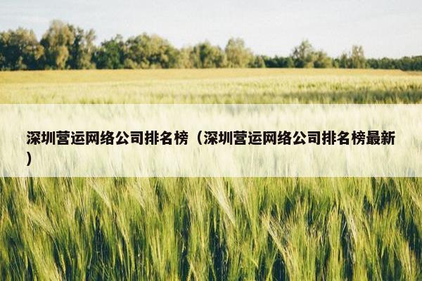 深圳营运网络公司排名榜（深圳营运网络公司排名榜最新）
