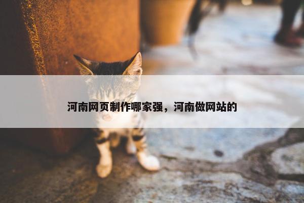 河南网页制作哪家强，河南做网站的