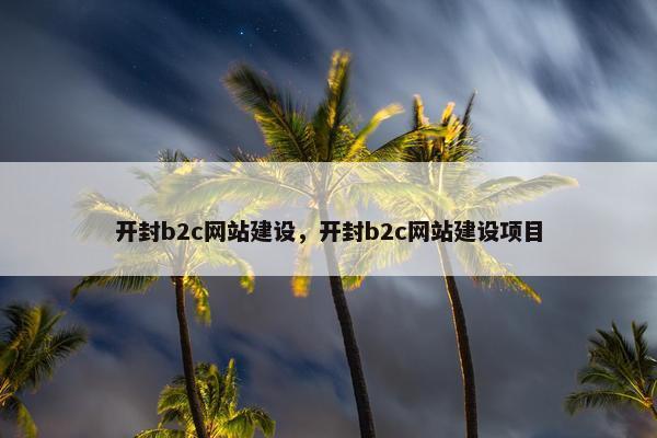 开封b2c网站建设，开封b2c网站建设项目