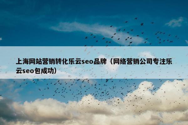 上海网站营销转化乐云seo品牌（网络营销公司专注乐云seo包成功）