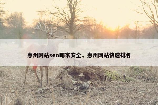 惠州网站seo哪家安全，惠州网站快速排名