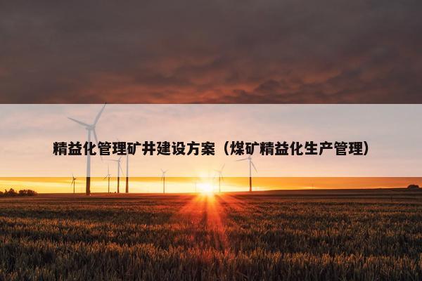 精益化管理矿井建设方案（煤矿精益化生产管理）