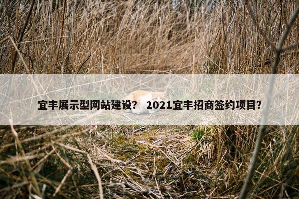 宜丰展示型网站建设？ 2021宜丰招商签约项目？