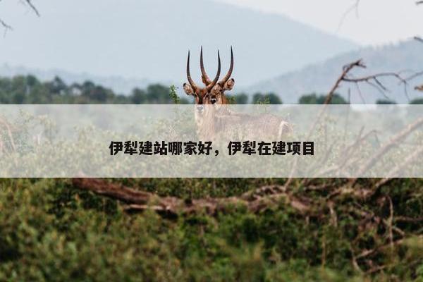 伊犁建站哪家好，伊犁在建项目