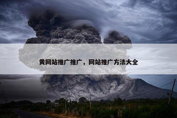 黄网站推广推广，网站推广方法大全