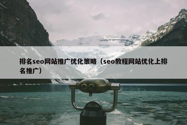 排名seo网站推广优化策略（seo教程网站优化上排名推广）