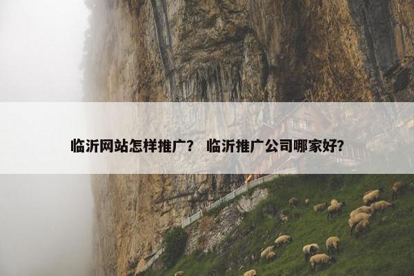临沂网站怎样推广？ 临沂推广公司哪家好？