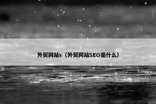外贸网站s（外贸网站SEO是什么）