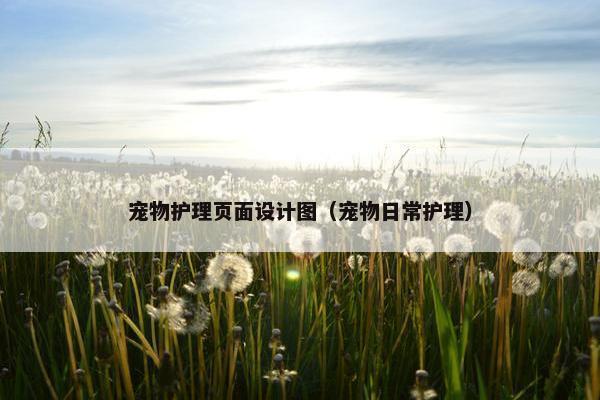 宠物护理页面设计图（宠物日常护理）