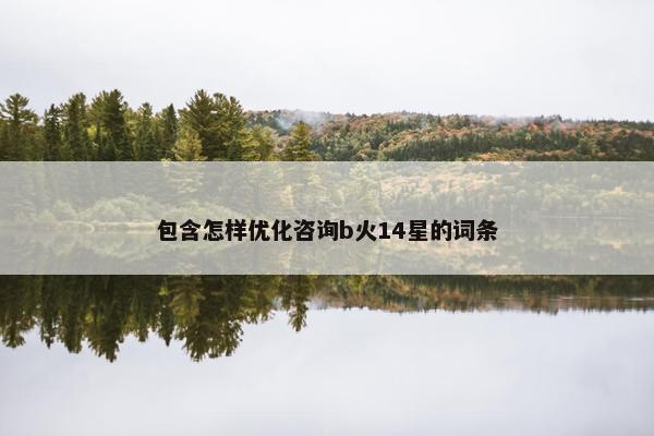 包含怎样优化咨询b火14星的词条