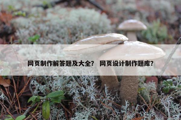 网页制作解答题及大全？ 网页设计制作题库？