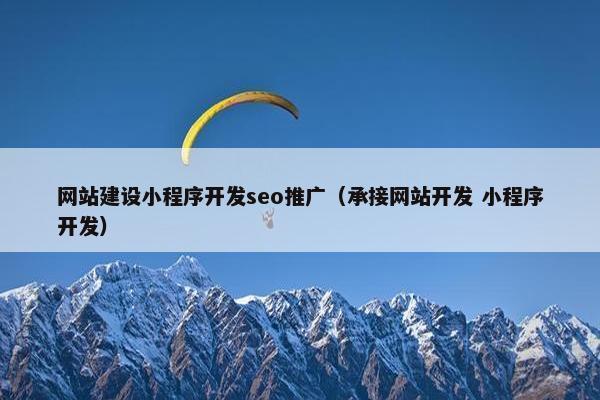 网站建设小程序开发seo推广（承接网站开发 小程序开发）
