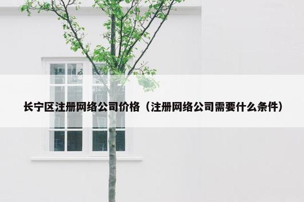 长宁区注册网络公司价格（注册网络公司需要什么条件）