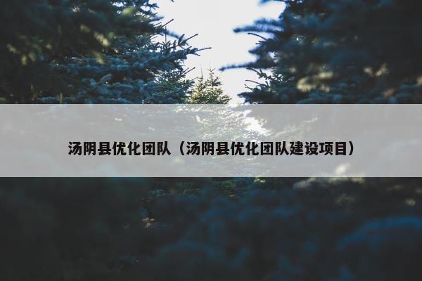汤阴县优化团队（汤阴县优化团队建设项目）