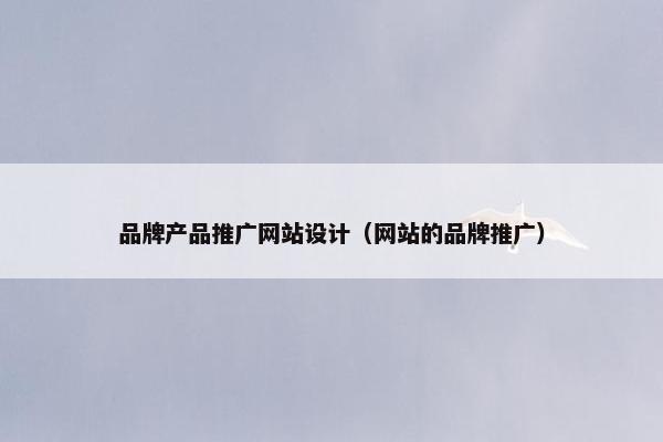 品牌产品推广网站设计（网站的品牌推广）
