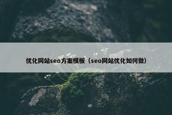 优化网站seo方案模板（seo网站优化如何做）