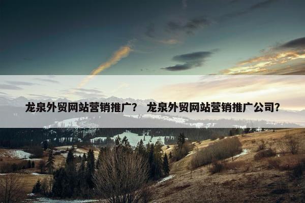 龙泉外贸网站营销推广？ 龙泉外贸网站营销推广公司？