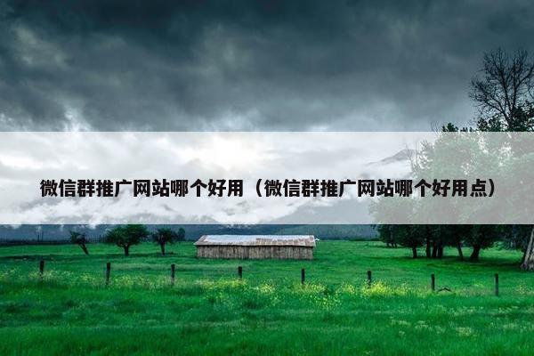 微信群推广网站哪个好用（微信群推广网站哪个好用点）