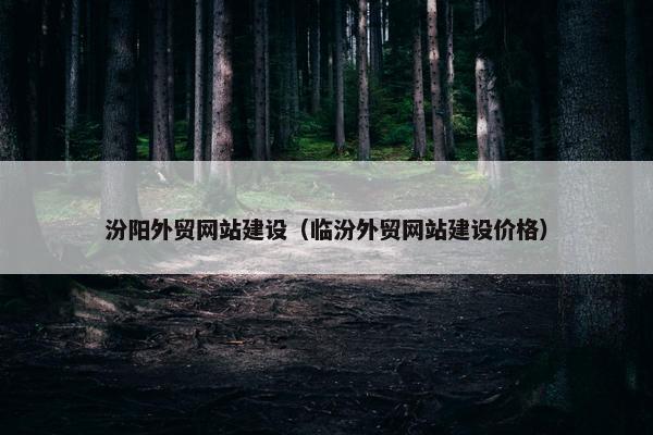 汾阳外贸网站建设（临汾外贸网站建设价格）