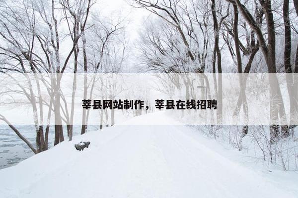 莘县网站制作，莘县在线招聘